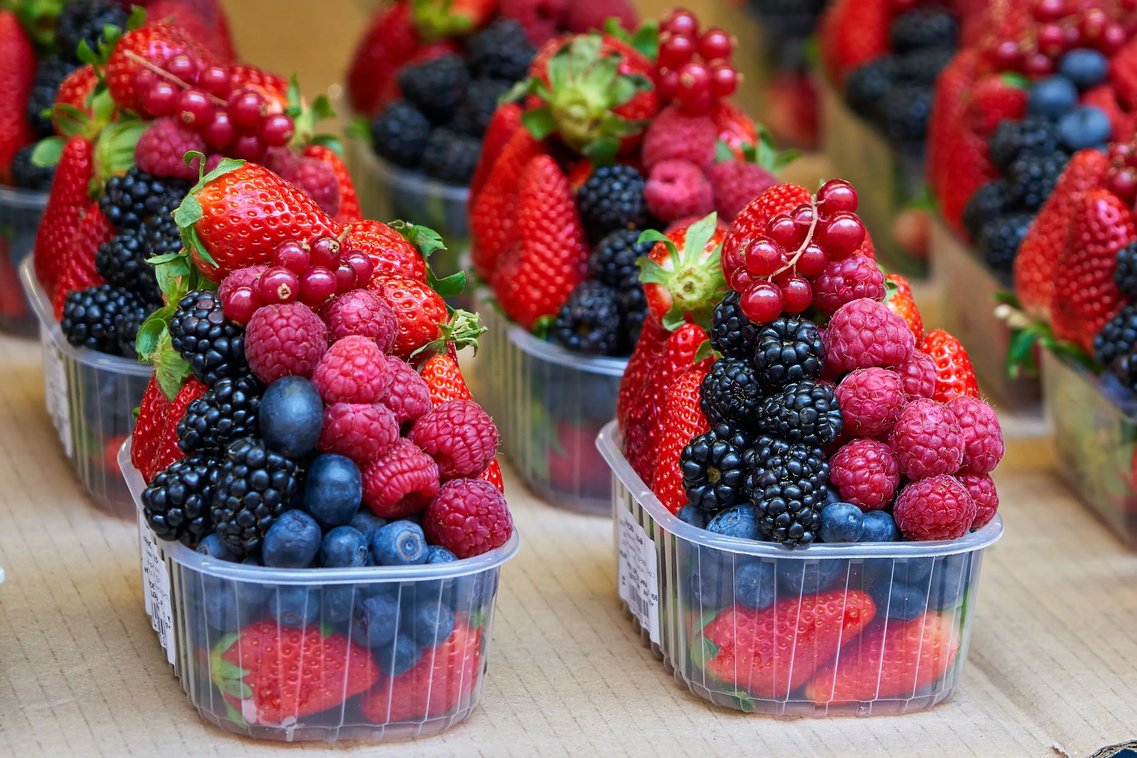 Morocco Berry Conference 2026: Addressing Challenges in the Red Fruit Industry in Agadir