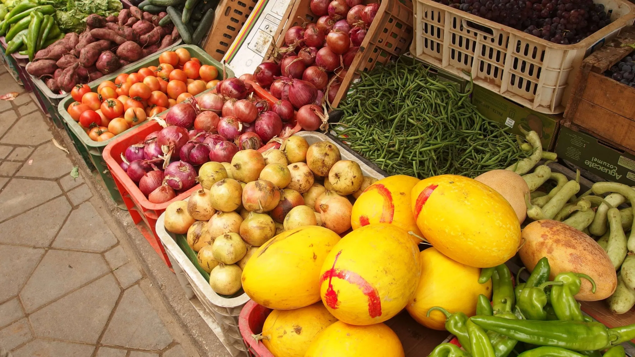 Morocco's Government Plans to Regulate Food Exports Amid Rising Prices
